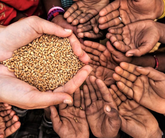 Jewahir Partnered with CharityRight to fight hunger