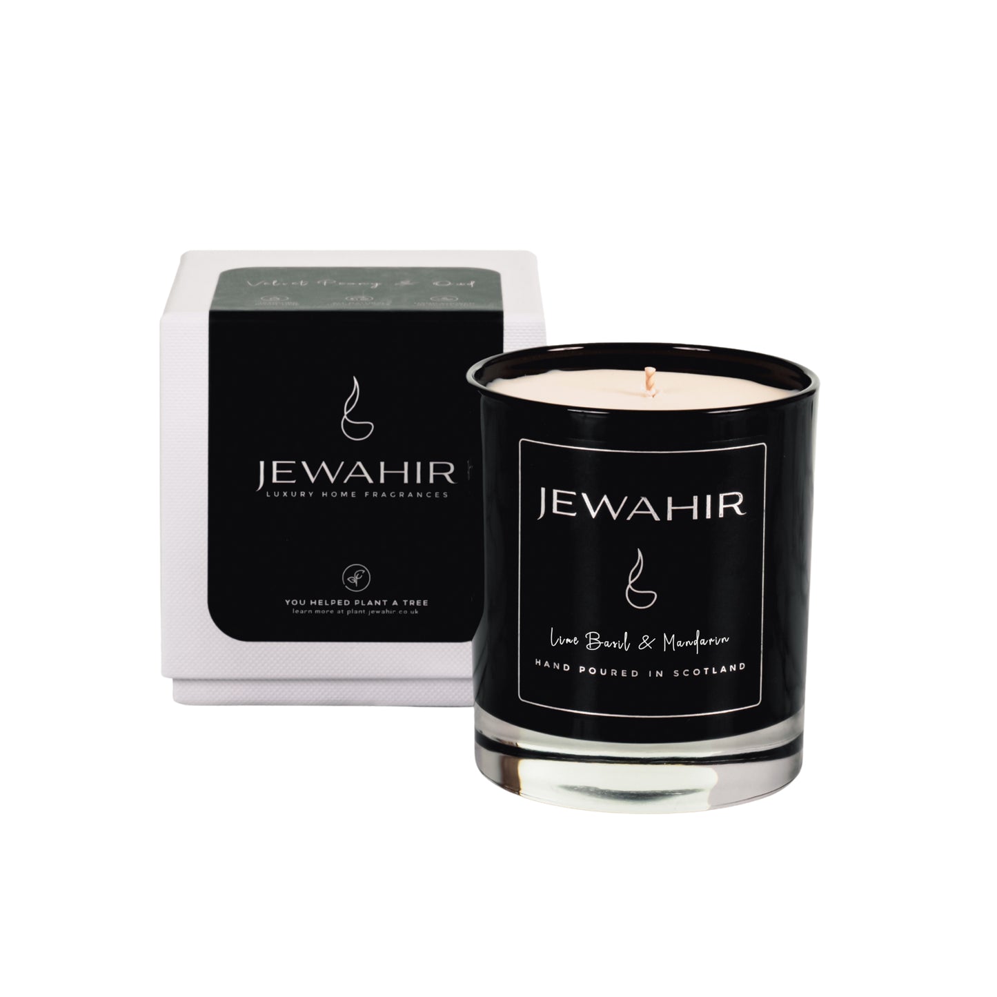 Lime, Basil & Mandarin Candle