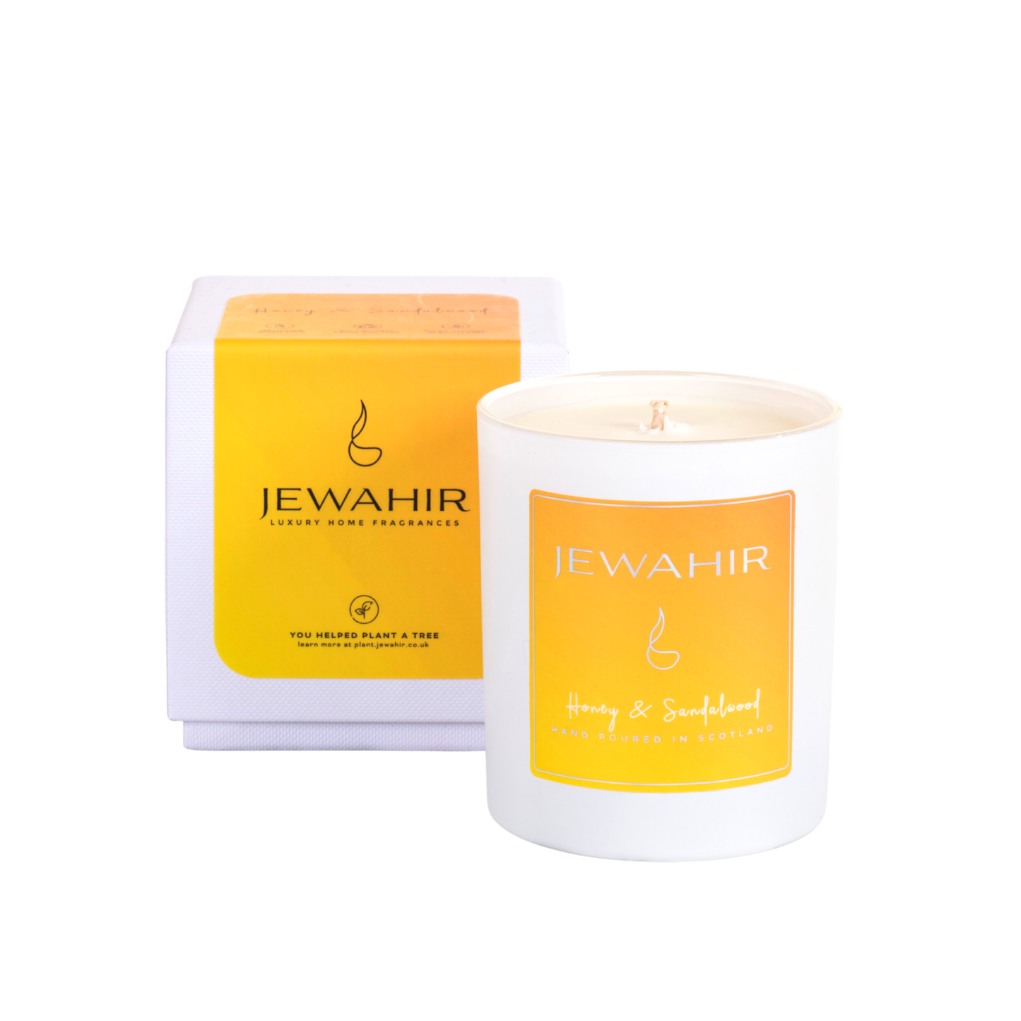 Honey & Sandalwood Candle